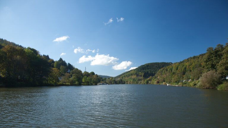 Blick von der Fähre beim Neckarhäuser Hof