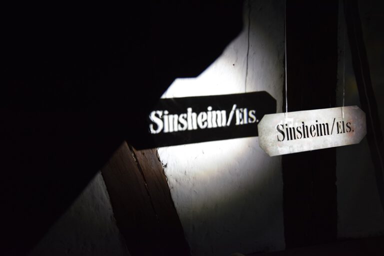 Taschenlampenführung 2022 (2)