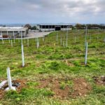 Sinsheim: AVR Energie GmbH aktuell – Baubeginn des Solarpark in Sinsheim