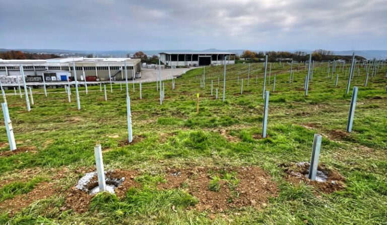 2022-12-21_Baubeginn Solarpark Sinsheim- header