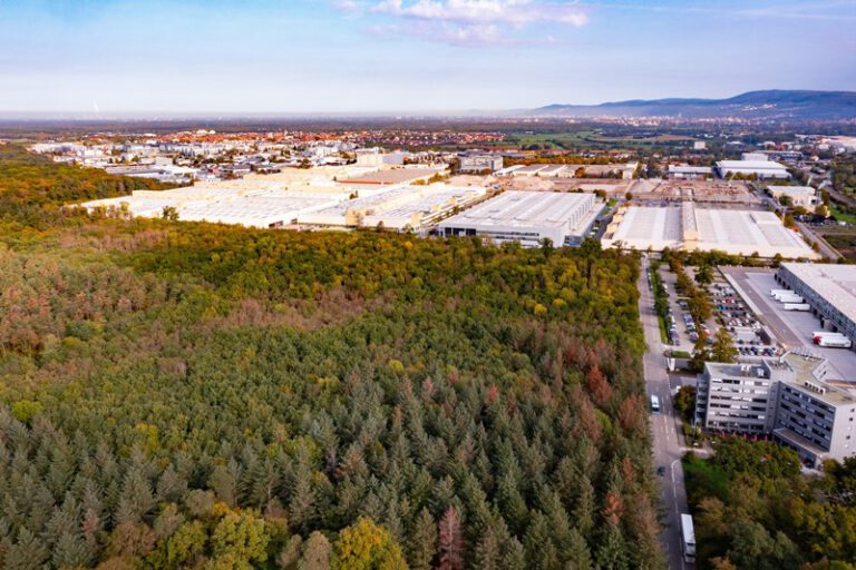 20221007_Drohnenfoto_Wald_Wiesloch