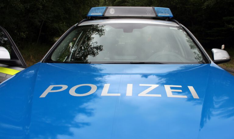 Polizeiauto, Notfall, Wald, Blaulicht, markus roider, Reporter Bayern, police-4338776_1920