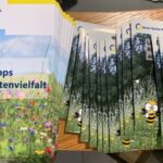 Aktion des Rhein-Neckar-Kreises: „Lassen Sie den Rhein-Neckar-Kreis aufblühen!”