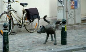 dog-peeing-1523401