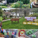 Volksbank “spendiert ” ein OUTDOOR – Klassenzimmer …