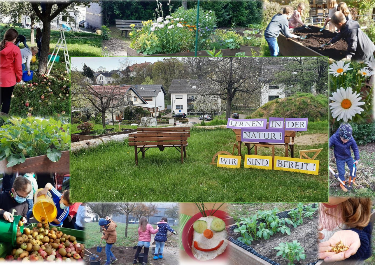 Collage_GS-Horrenberg_02 - 1