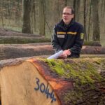 Die schönsten Hölzer aus der Region stießen in Sinsheim auf dem Submissionsplatz auf großes Interess...