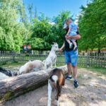 Sinsheimer Erlebnisregion – Wildpark in Schwarzach mit Mörserglocke und Mineralienausstellung
