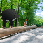 Die Sinsheimer Erlebnisregion stellt sich vor – Naturerlebnispfad Angelbachtal – Hinter jedem Hügel ...