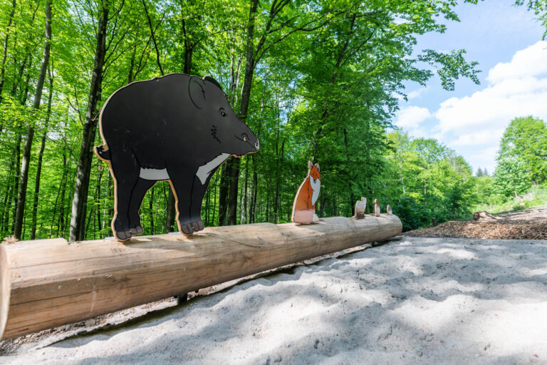 Angelbachtal_NEP_(C) Angelbachtal (5)