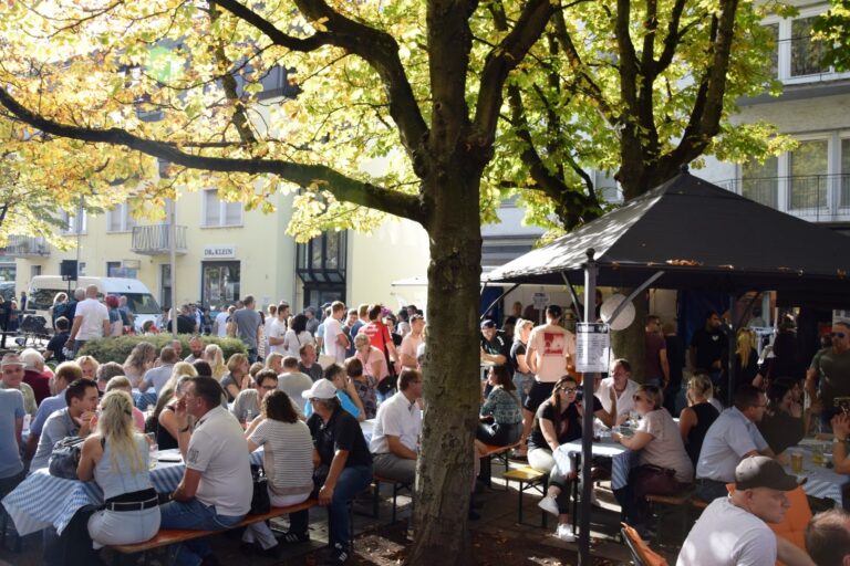 Sinsheimer Herbst 2019 (Groß)