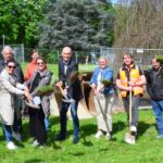 Wieslochs Grüne Lunge bekommt ein Update – Umgestaltung der Stadtwingertanlage gestartet