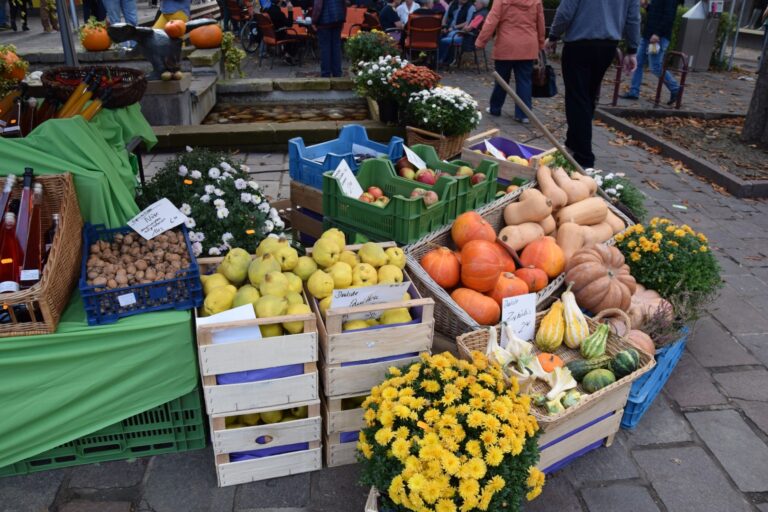 Marktstand Sinsheimer Herbst 001 (Groß)