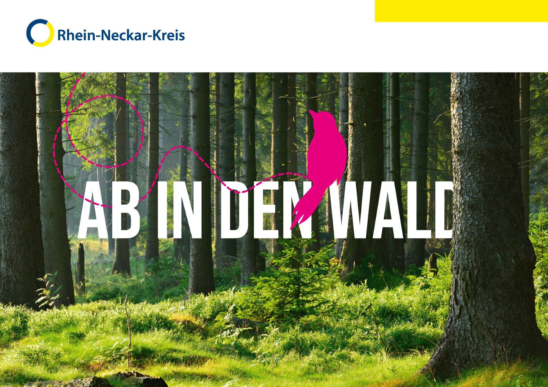 Ab in den Wald -Jahresprogramm