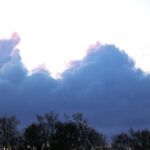 IMG_0186