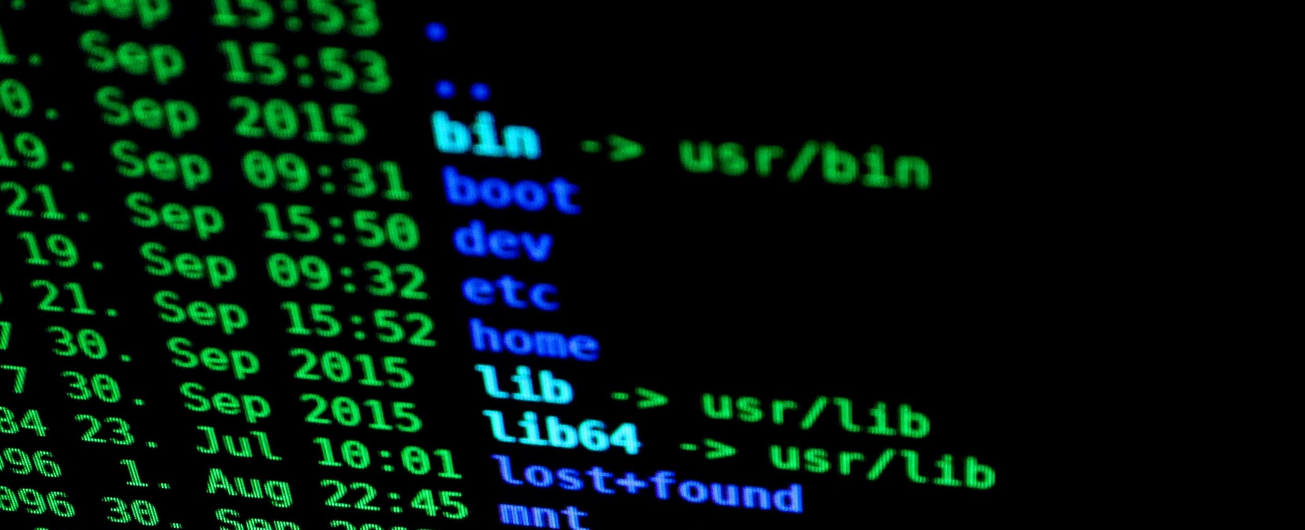 pexels-photo-207580-Header