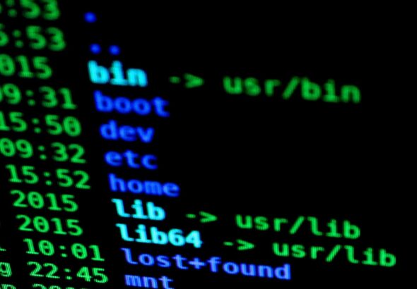 pexels-photo-207580-Header