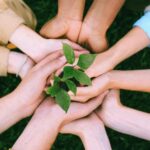 SEO 21.02.2026 HEADER