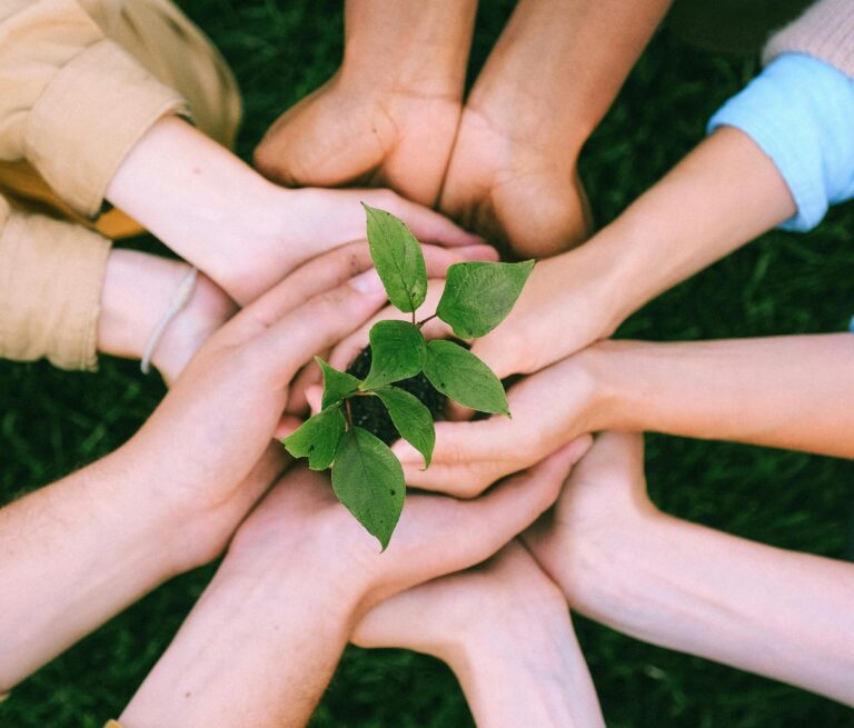 SEO 21.02.2026 HEADER