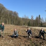 Baumpflanzung Hilsbach