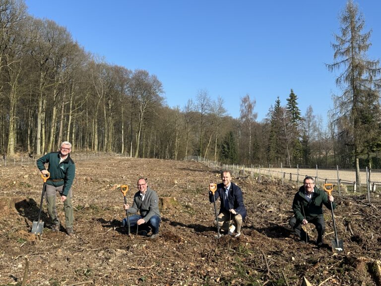 Baumpflanzung Hilsbach