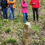 02362d39-9a97-420c-87a7-0699f9e32d14