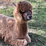 127523eb-fbf1-42f0-a4b3-a7cf87763497