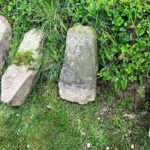 7833376a-2dd6-4a32-9a2c-1c76938491f5