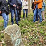 e8fda226-e42b-420f-934c-10e4f9c7db1b