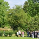 IMGL9752
