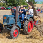 Dreschfest_2025_4401
