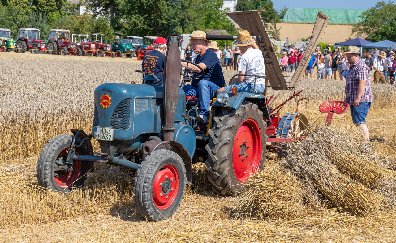 Dreschfest_2025_4401