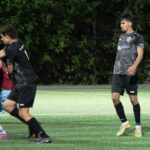 IMGL2019