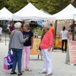 Sinsheim: Sie sind wieder da – Ils sont de retour – In der Allee für drei Tage