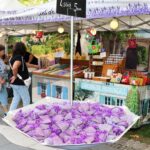 Sinsheim: Sie sind wieder da – Ils sont de retour – In der Allee für drei Tage